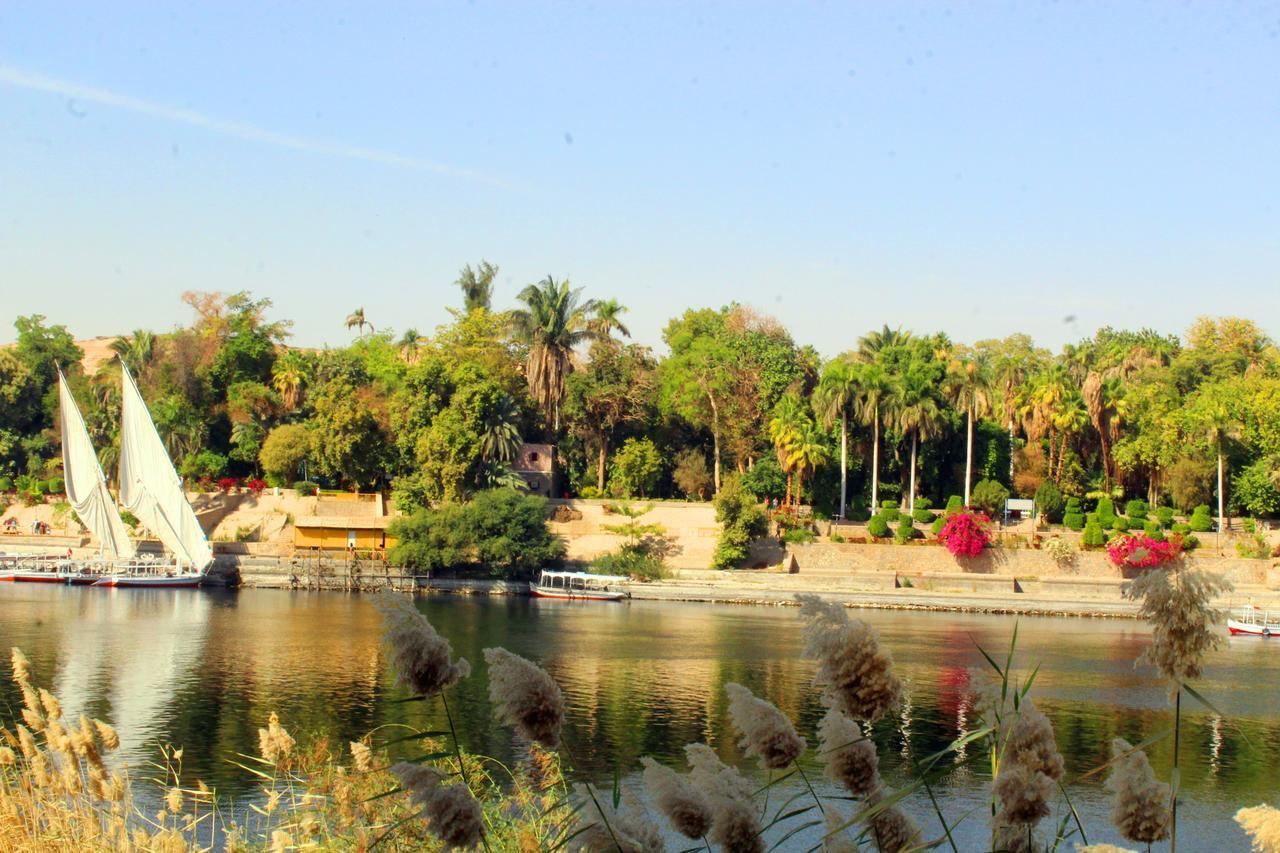 Hamo Guest House Aswan Exteriör bild